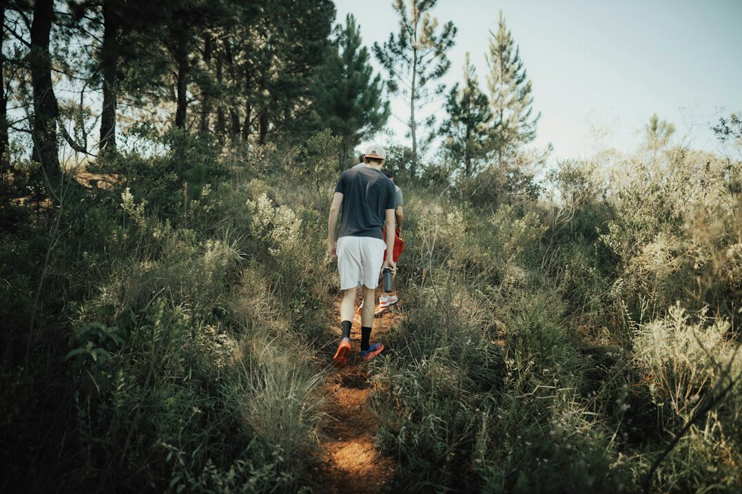 person walking in nature